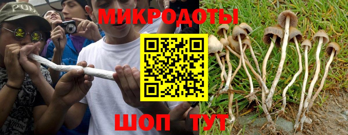Псилоцибиновые грибы GOLDEN TEACHER  Вход с VPN  закладка  Тверь 